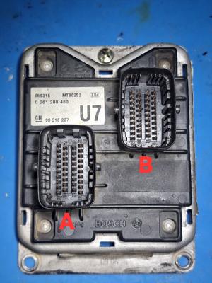 Foto de identificación de M1.5.5